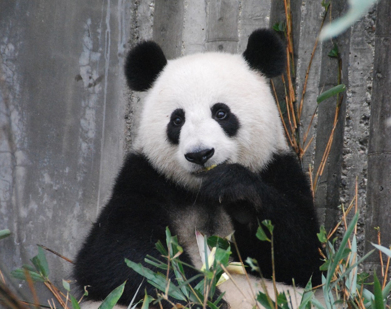 Bloore King & Kavanagh’s Feelgood Friday – A Good Friday Special