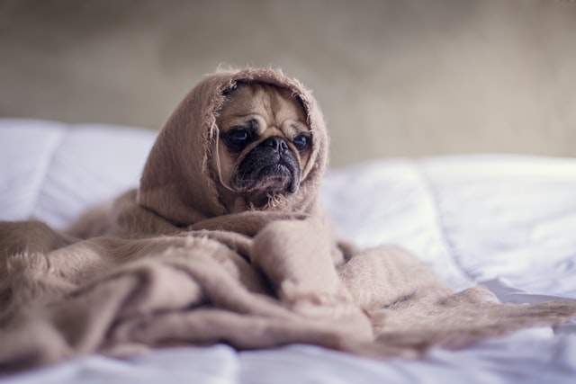 Oh Joy – how to find your happy place