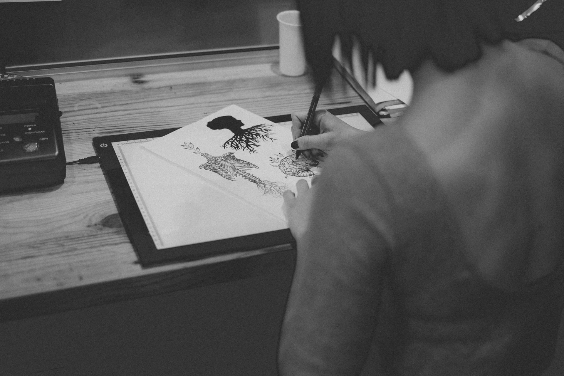 What’s the Big Draw for People in Halesowen this Month?