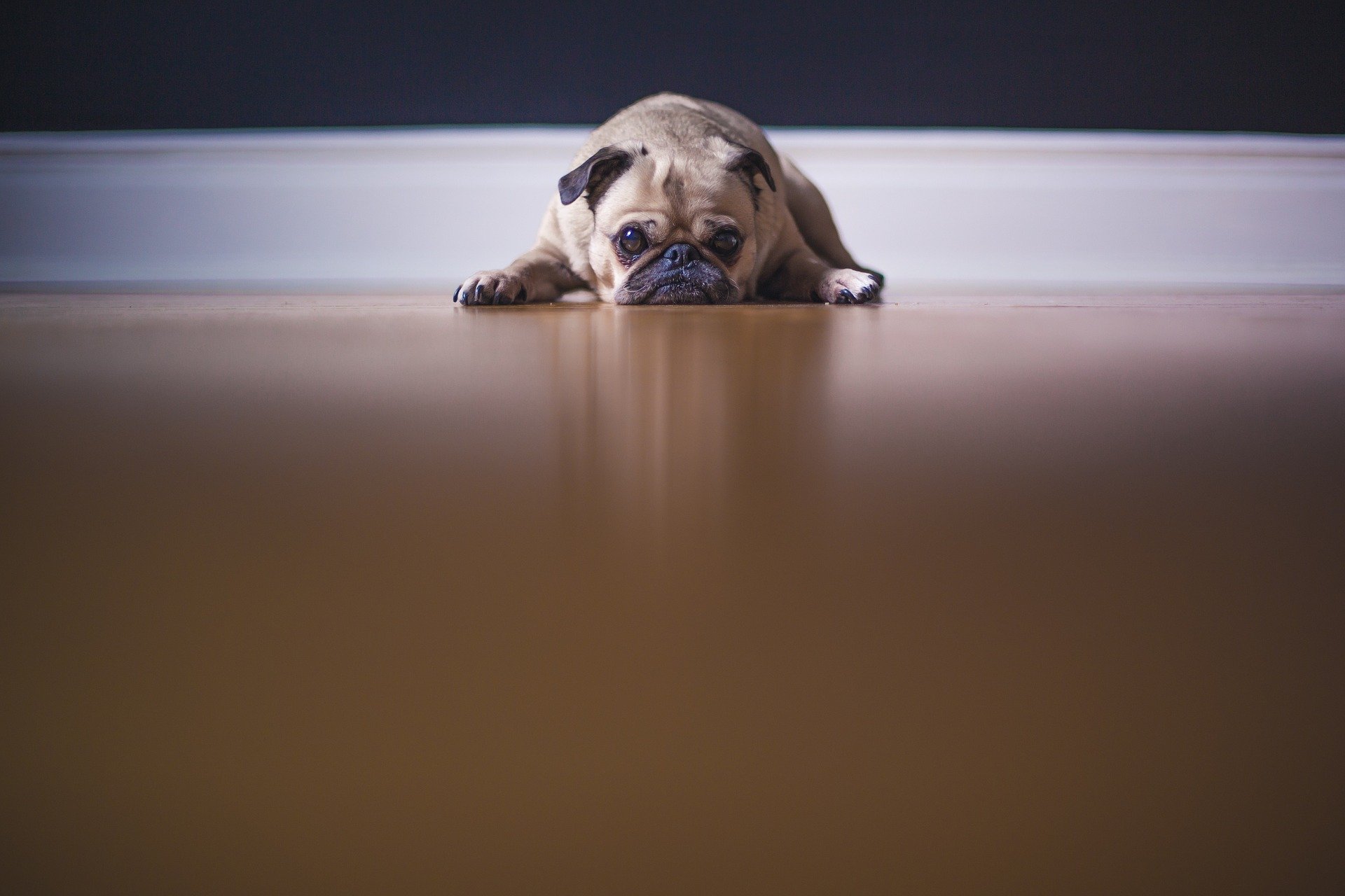 Three Ways Landlords Can Beat Blue Monday