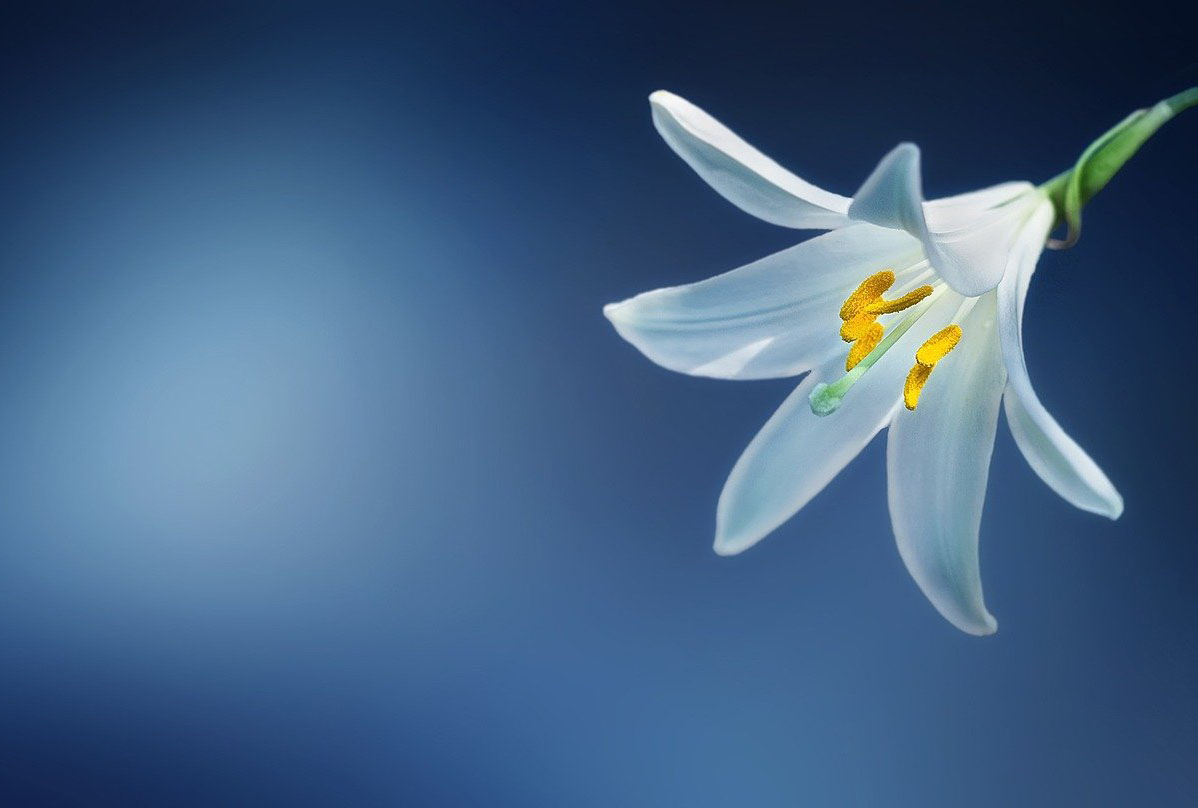 Sell Your Home This Spring by Following These Top Tips (Part Two)