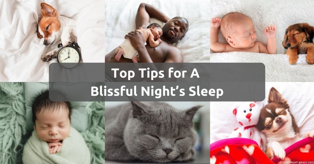 World Sleep Day - Top Tips for a Blissful Night’s Sleep