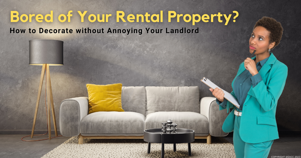 Bored of Your Rental Property? How to Decorate without Annoying Your Landlord