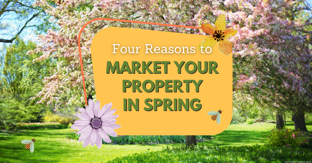 Is Spring Is a Great Time to Sell Your Home?