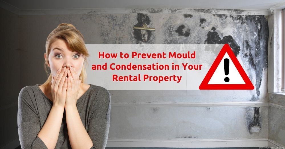 How can landlords and tenants combat condensation and mould? Read on to find out.