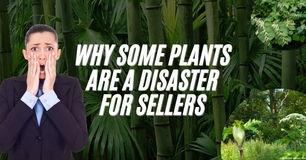Why Some Plants Are a Disaster for Halesowen Sellers