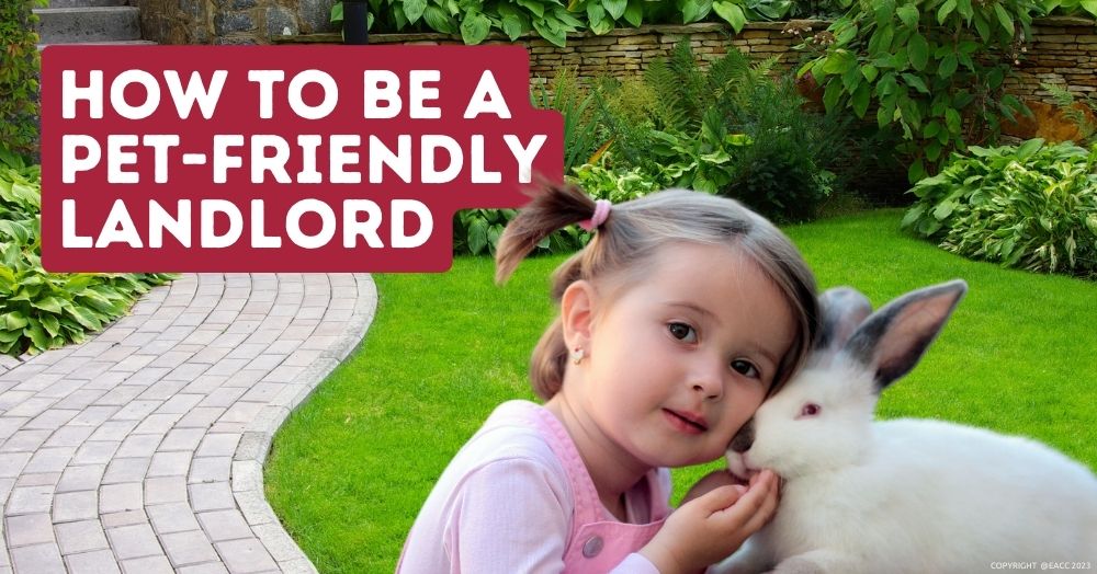 How to Be a Pet-Friendly Landlord 