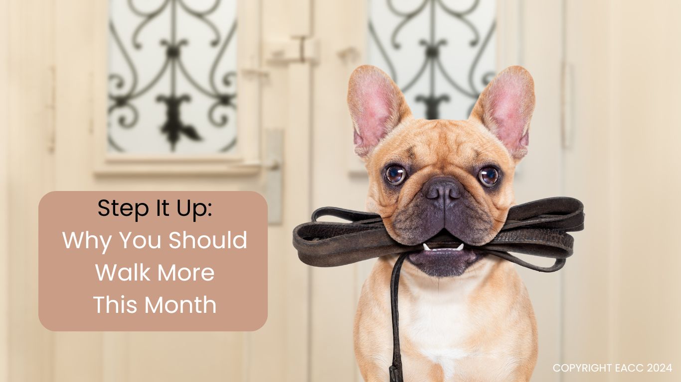 Step It Up: Why You Should Walk More in Halesowen This Month