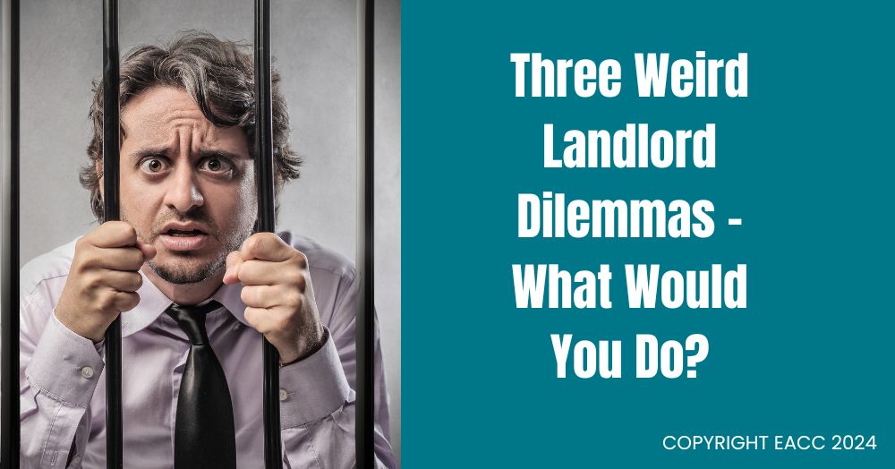 Three Weird Landlord Dilemmas – What Would You Do?