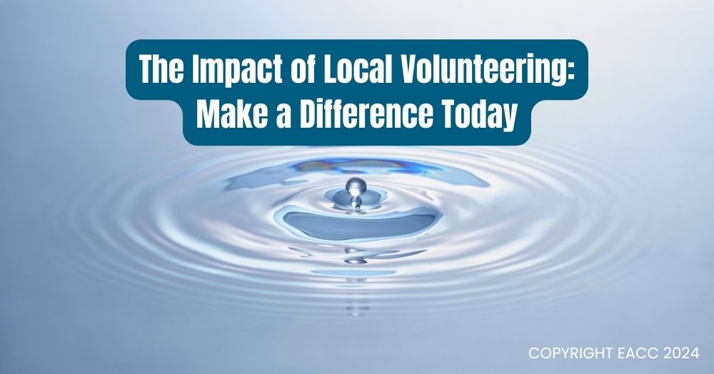 The Impact of Local Volunteering in Halesowen: Make a Difference Today