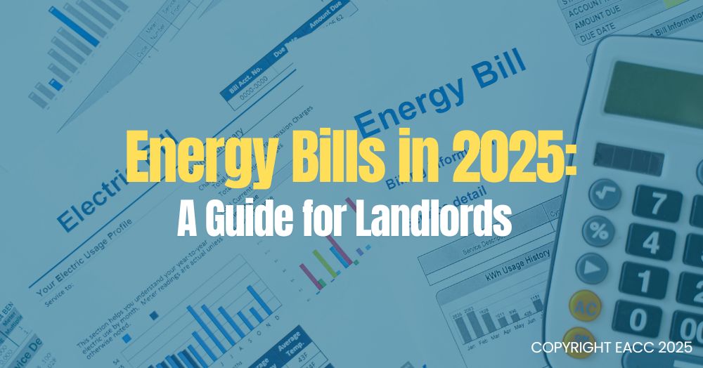 Energy Bills in 2025: A Guide for Landlords
