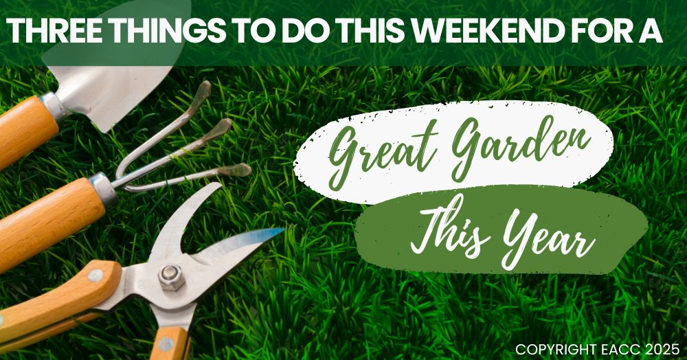 Three Planting Ideas for Your Garden